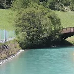 Colettine